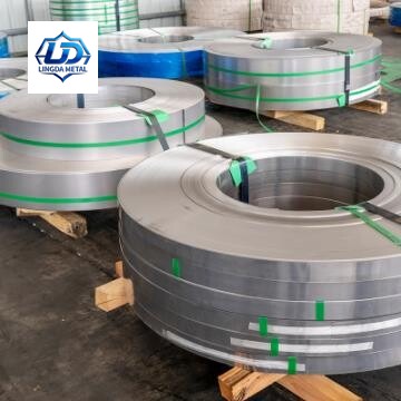 310 Stainless Strip