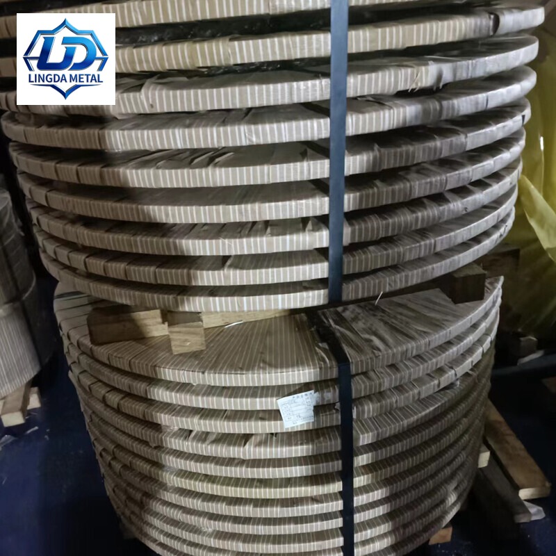 304 Stainless Strip