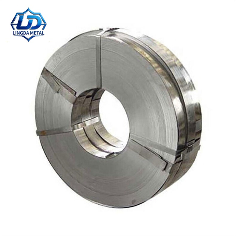 310 Stainless Strip